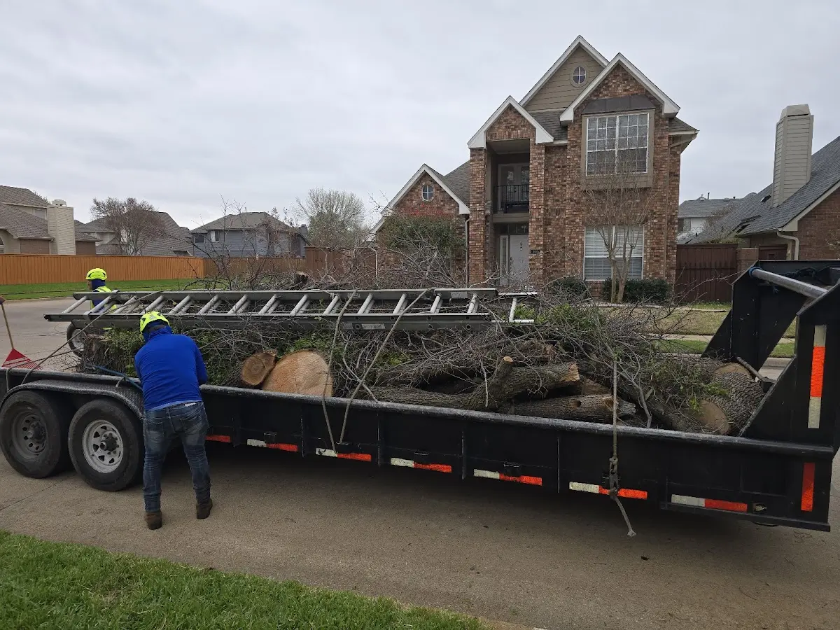 Expert Tree Removal with proper safety equipment in Brookwood